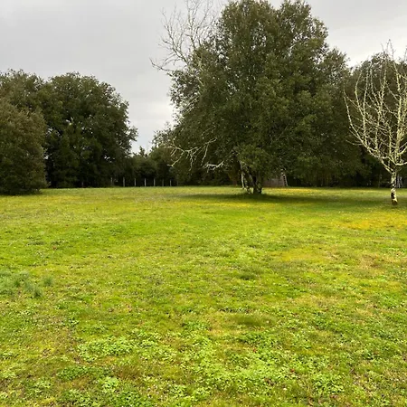 Holiday home Maison De Charme Dordogne - Nature & Randonnees