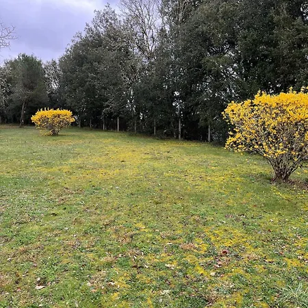 Holiday home Maison De Charme Dordogne - Nature & Randonnees Mauzac-et-Grand-Castang